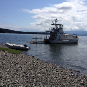 Hanging out on anchor while guests explore remote beach