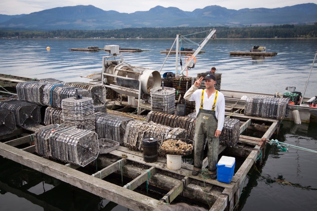 Hollie Wood Oyster Farm Tour Comox Harbour Charters