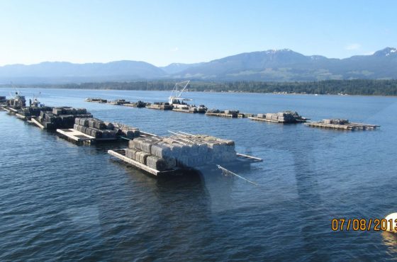 Hollie Wood Oyster Farm Tour