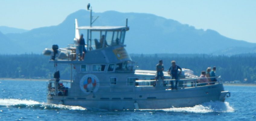 Join Us for Nautical Days, Harbour Tours and Sunset Cruises!